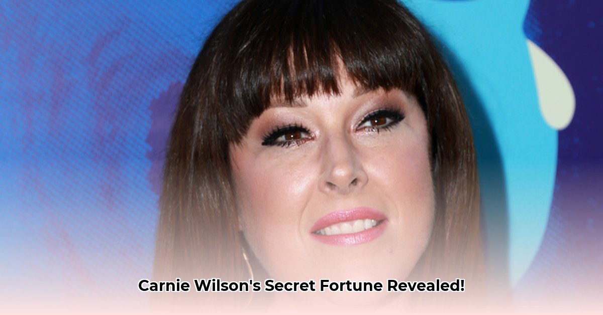 carnie-wilson-s-2023-wealth-details